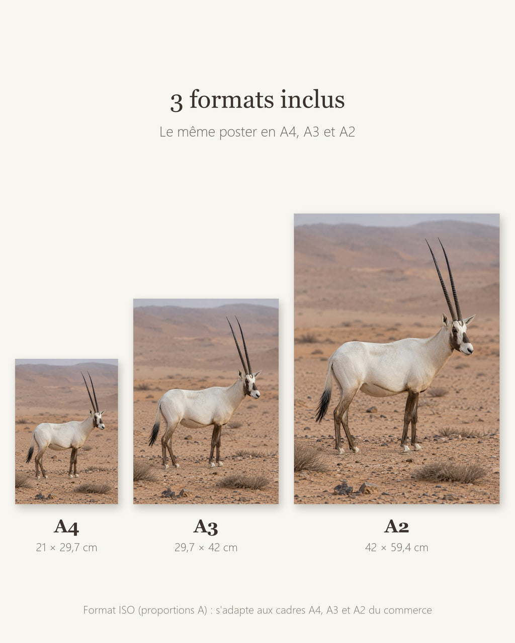 Poster Oryx d'Arabie à Imprimer - Affiche Animaux Sauvages - Décoration Murale - Téléchargement Numérique