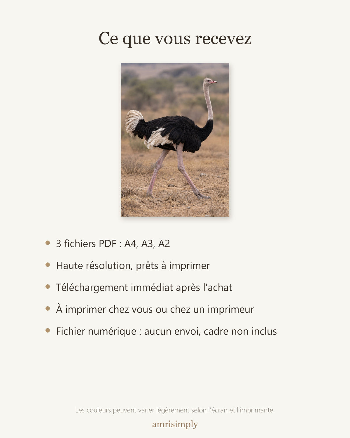 Poster Autruche à Imprimer - Affiche Animaux Sauvages - Décoration Murale - Téléchargement Numérique
