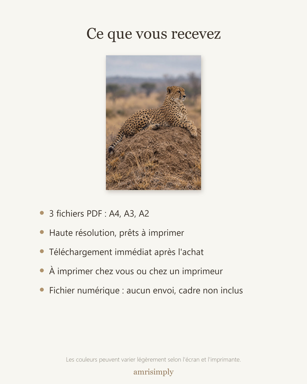 Poster Guépard sur termitière à Imprimer - Affiche Animaux Sauvages - Décoration Murale - Téléchargement Numérique