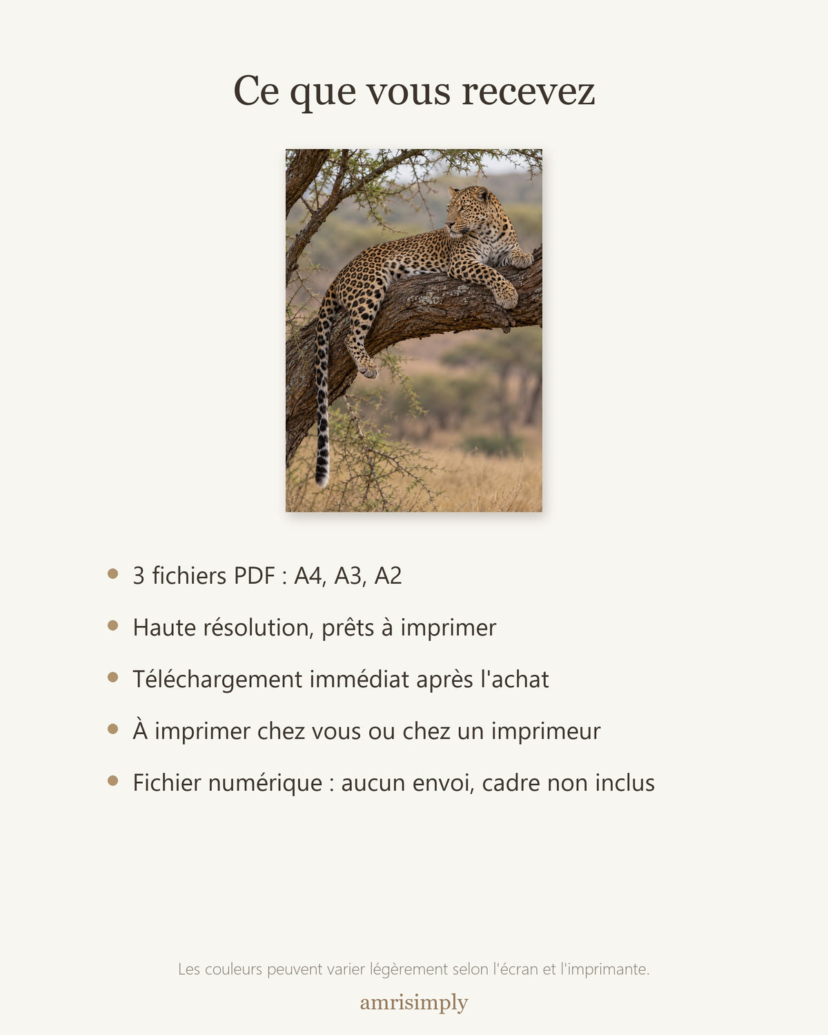 Poster Léopard dans l'acacia à Imprimer - Affiche Animaux Sauvages - Décoration Murale - Téléchargement Numérique