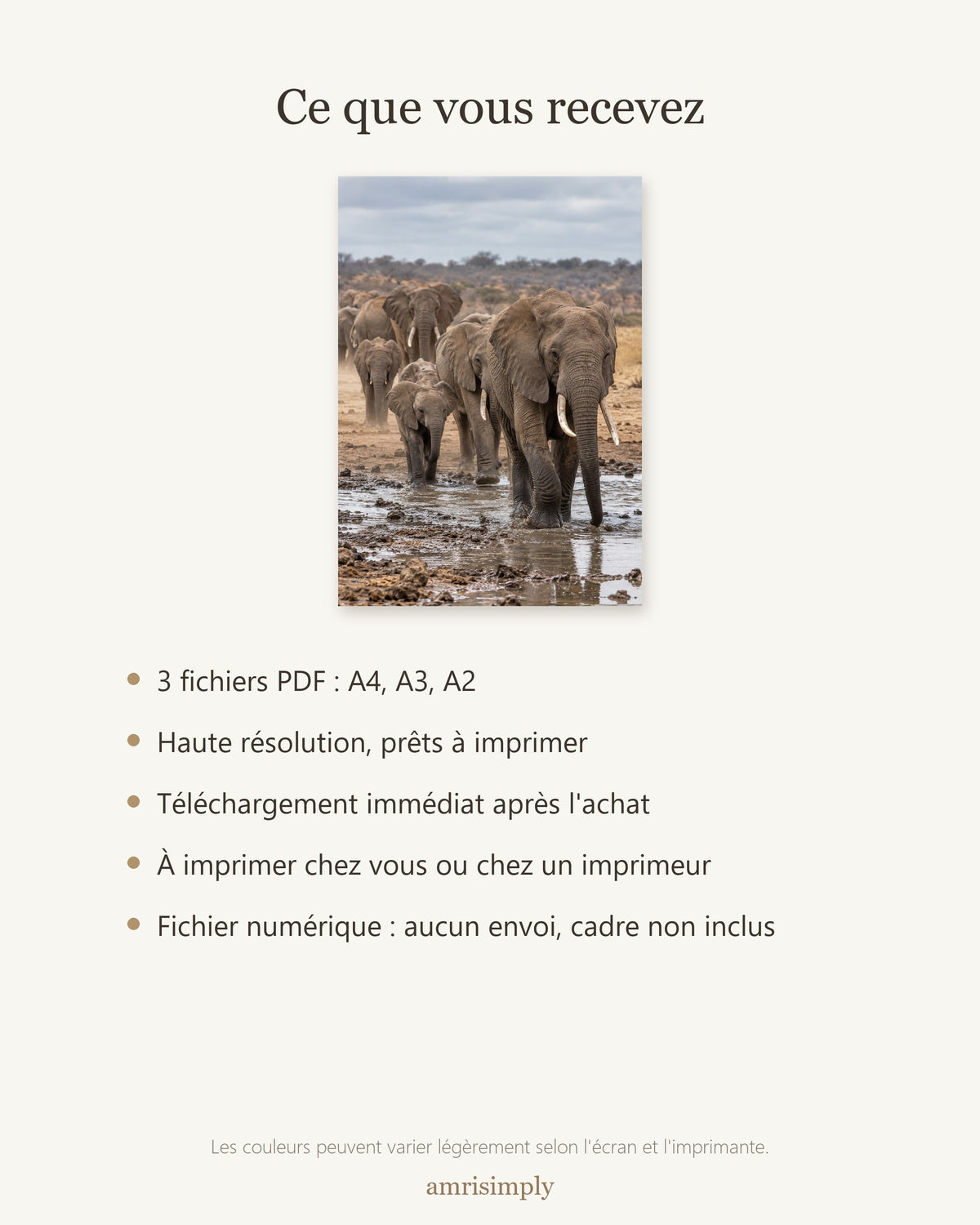 Poster Éléphants au point d'eau à Imprimer - Affiche Animaux Sauvages - Décoration Murale - Téléchargement Numérique