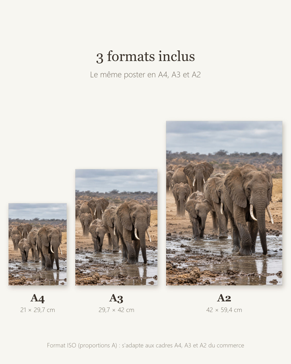 Poster Éléphants au point d'eau à Imprimer - Affiche Animaux Sauvages - Décoration Murale - Téléchargement Numérique