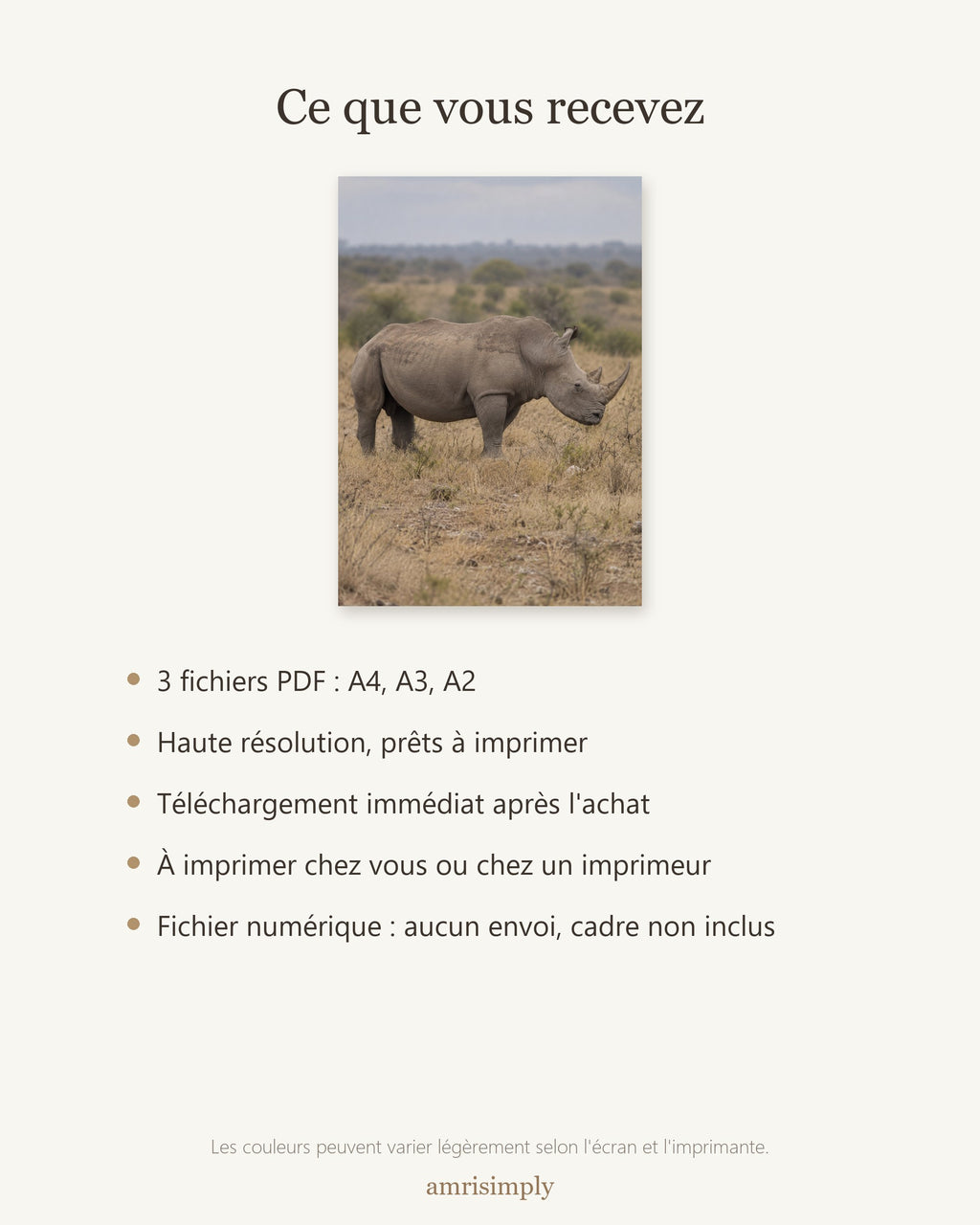 Poster Rhinocéros blanc à Imprimer - Affiche Animaux Sauvages - Décoration Murale - Téléchargement Numérique