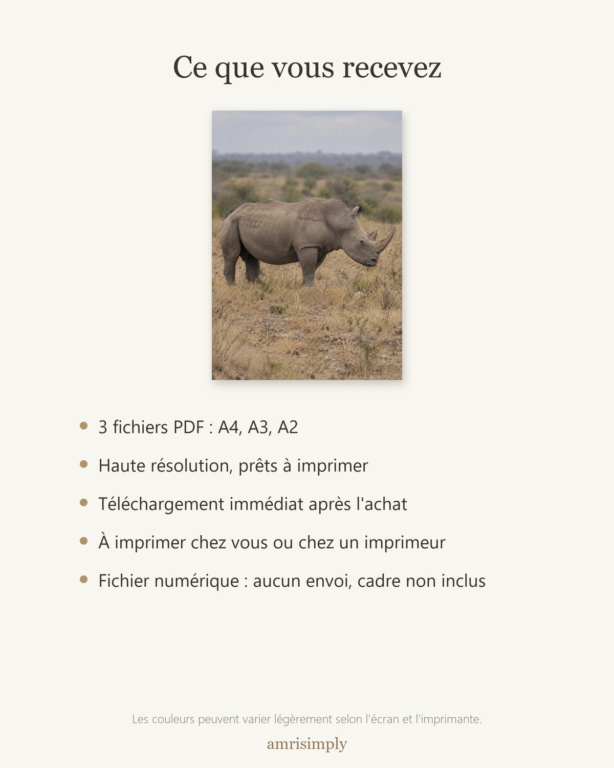 Poster Rhinocéros blanc à Imprimer - Affiche Animaux Sauvages - Décoration Murale - Téléchargement Numérique