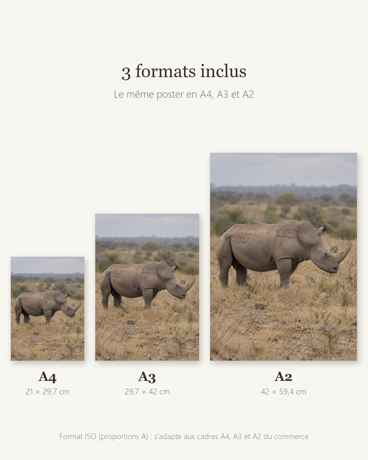 Poster Rhinocéros blanc à Imprimer - Affiche Animaux Sauvages - Décoration Murale - Téléchargement Numérique