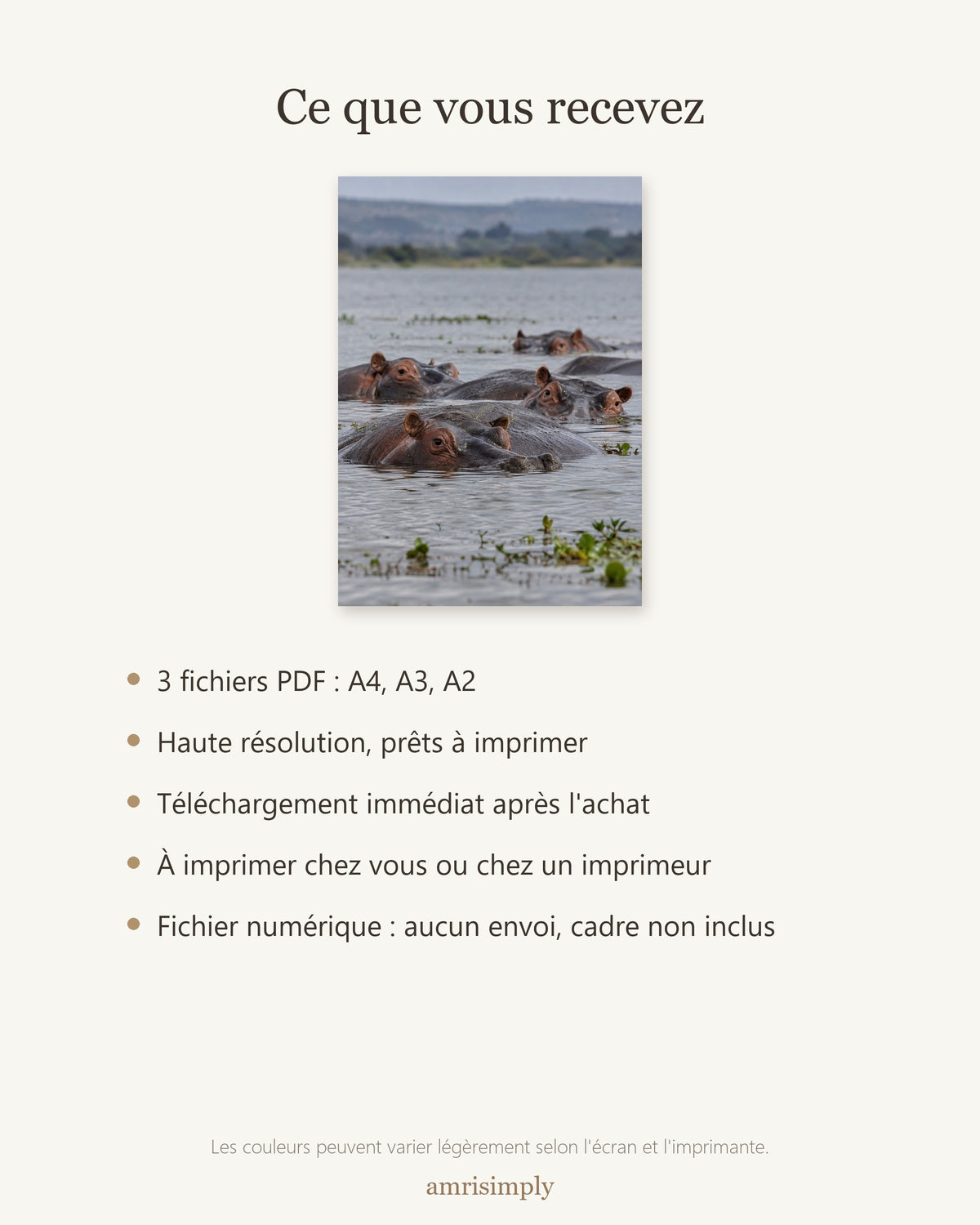 Poster Hippopotames à Imprimer - Affiche Animaux Sauvages - Décoration Murale - Téléchargement Numérique