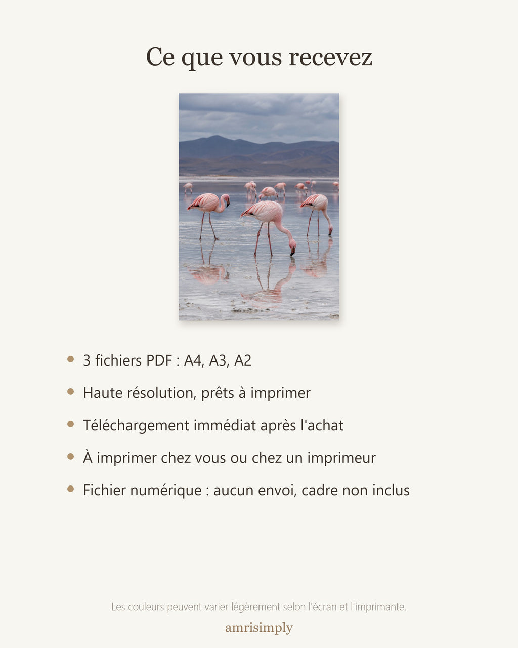 Poster Flamants roses lac salé à Imprimer - Affiche Animaux Sauvages - Décoration Murale - Téléchargement Numérique