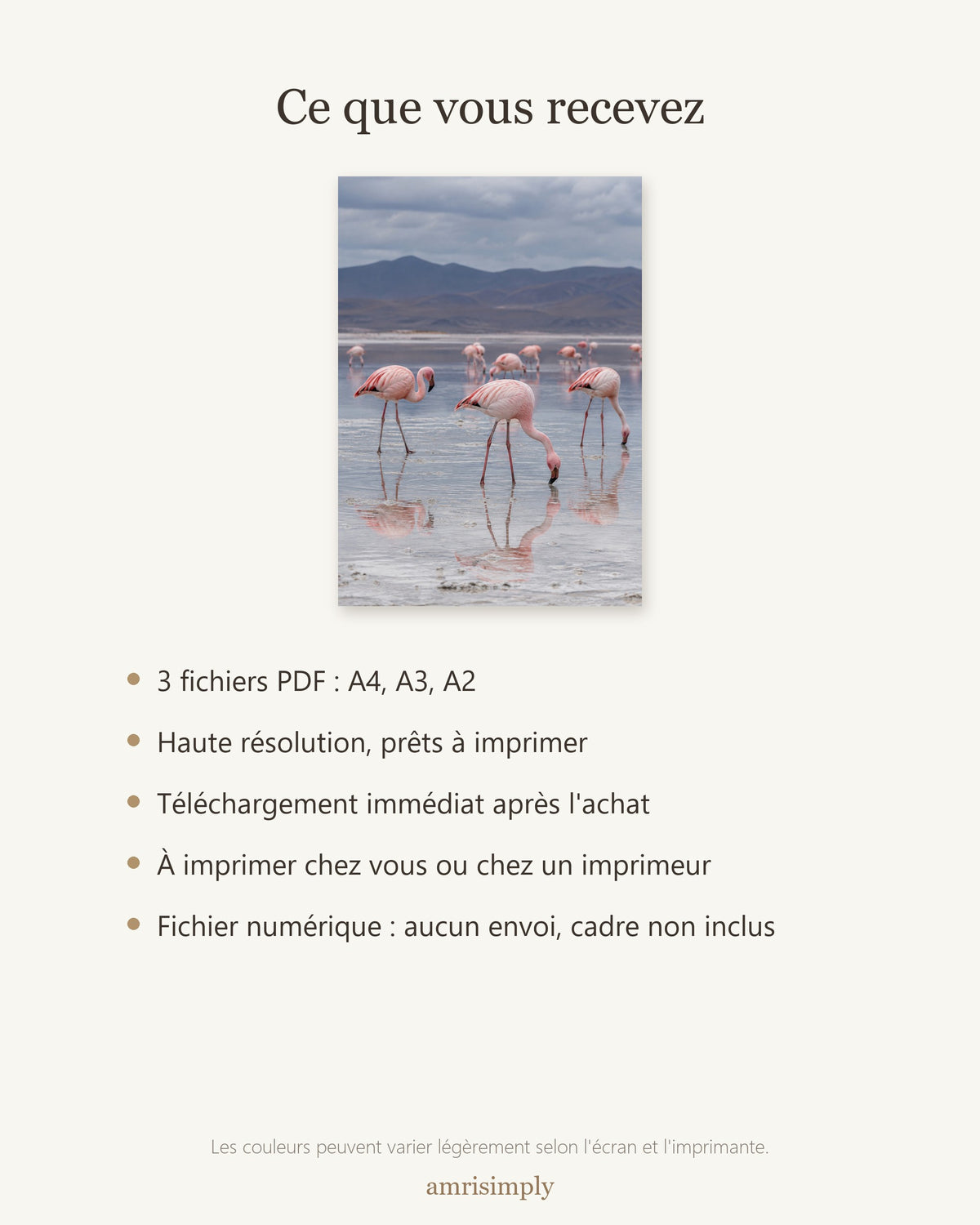 Poster Flamants roses lac salé à Imprimer - Affiche Animaux Sauvages - Décoration Murale - Téléchargement Numérique
