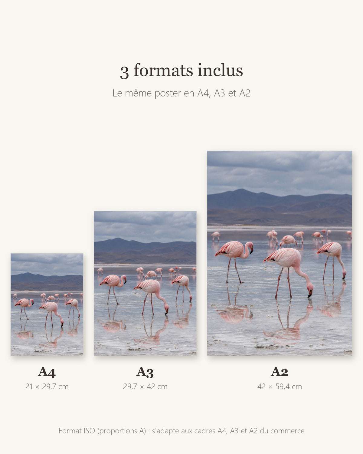 Poster Flamants roses lac salé à Imprimer - Affiche Animaux Sauvages - Décoration Murale - Téléchargement Numérique