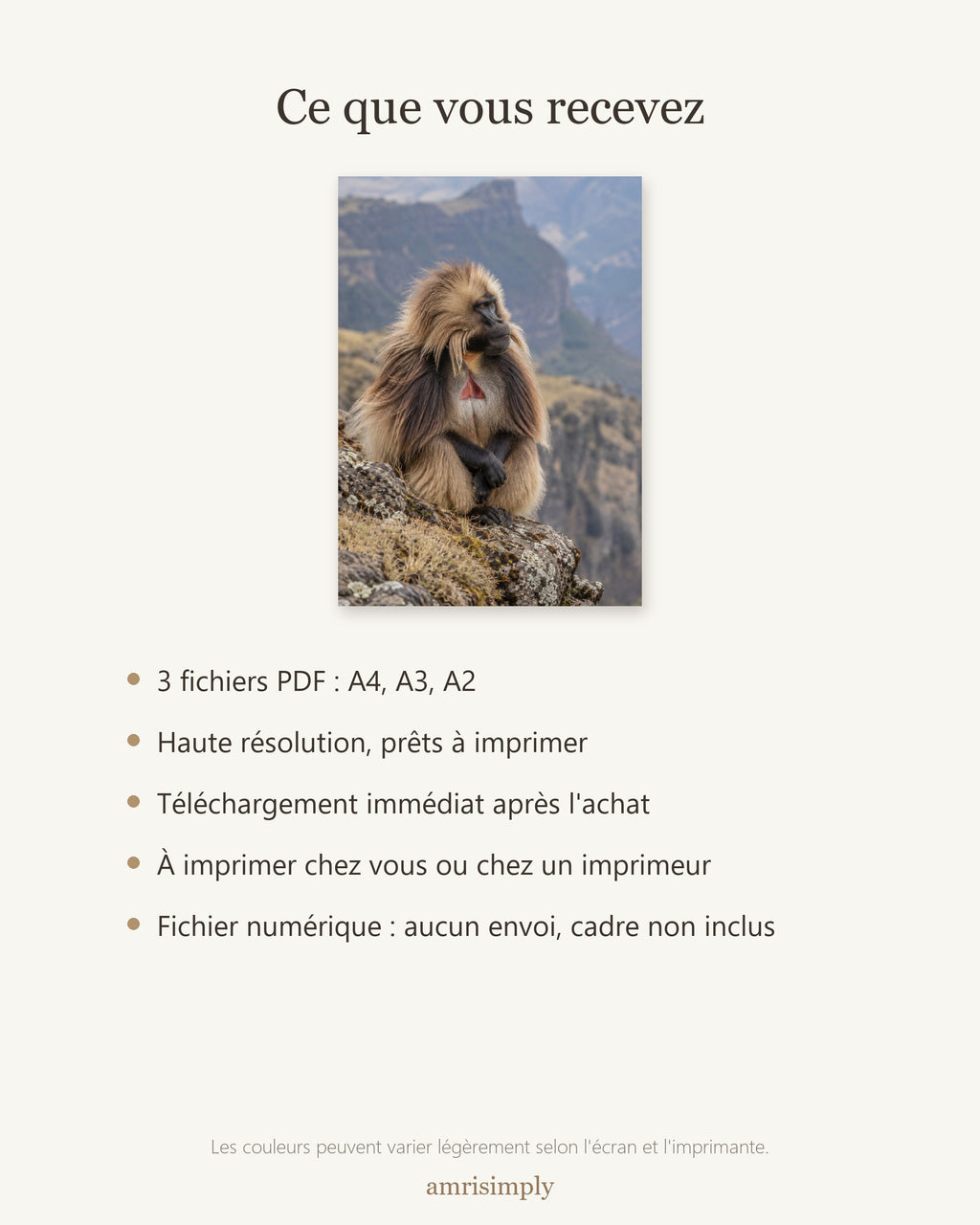 Poster Gelada monts Simien à Imprimer - Affiche Animaux Sauvages - Décoration Murale - Téléchargement Numérique