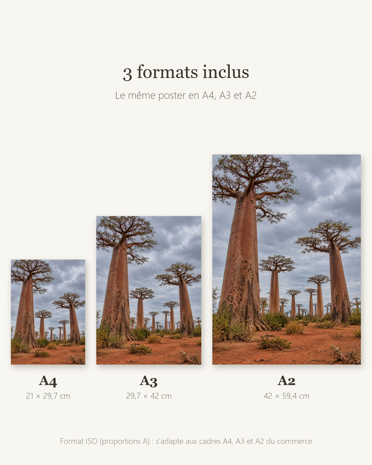 Poster Allée des baobabs Madagascar à Imprimer - Affiche Nature - Décoration Murale - Téléchargement Numérique