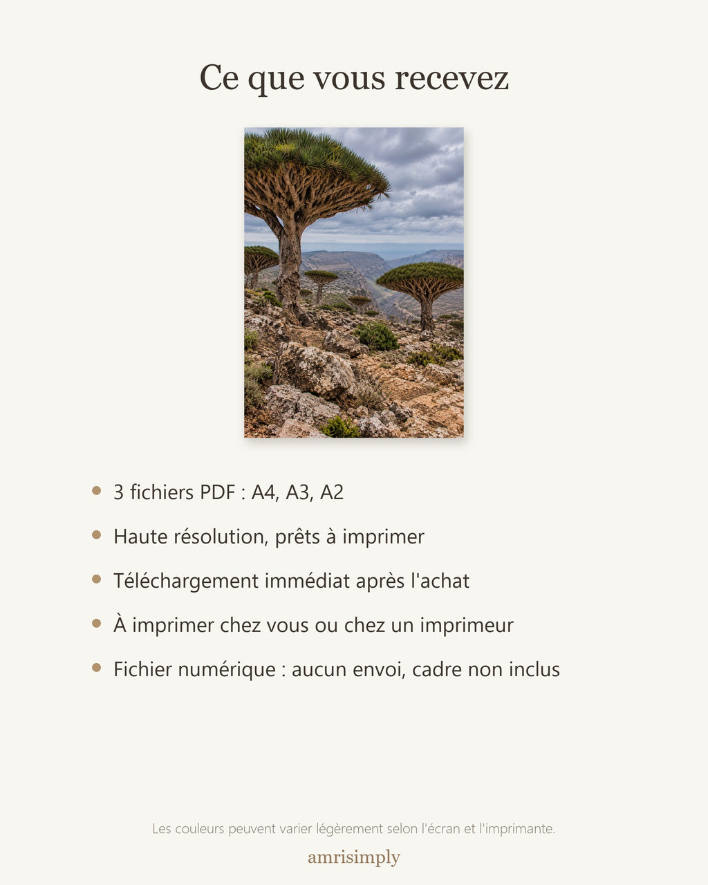 Poster Socotra Yémen à Imprimer - Affiche Nature - Décoration Murale - Téléchargement Numérique