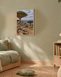Poster Socotra Yémen à Imprimer - Affiche Nature - Décoration Murale - Téléchargement Numérique