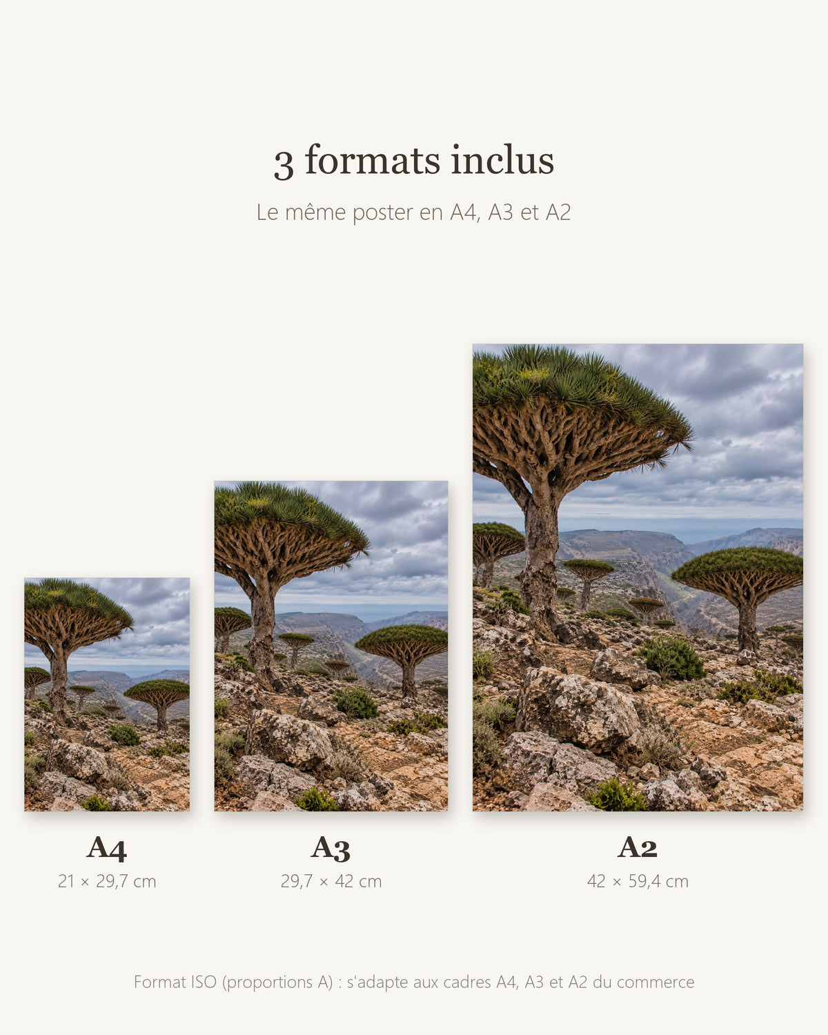 Poster Socotra Yémen à Imprimer - Affiche Nature - Décoration Murale - Téléchargement Numérique