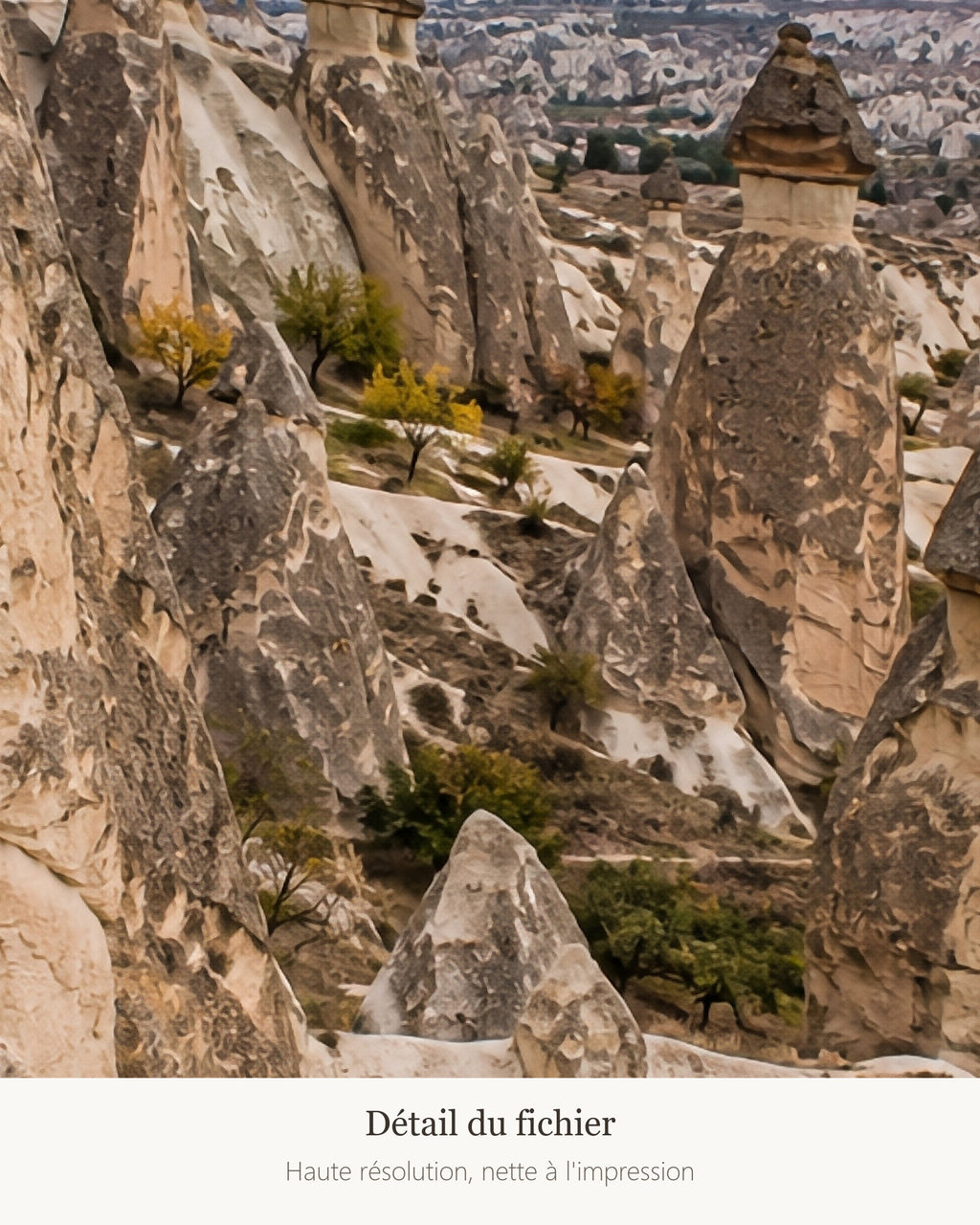 Poster Cappadoce Turquie à Imprimer - Affiche Nature - Décoration Murale - Téléchargement Numérique