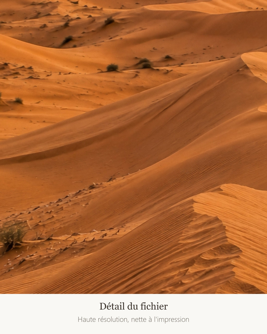 Poster Wahiba Sands Oman à Imprimer - Affiche Nature - Décoration Murale - Téléchargement Numérique
