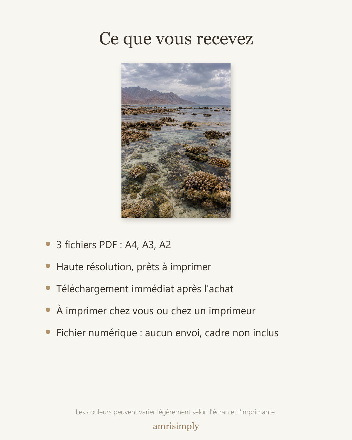 Poster Récif de la mer Rouge à Imprimer - Affiche Nature - Décoration Murale - Téléchargement Numérique