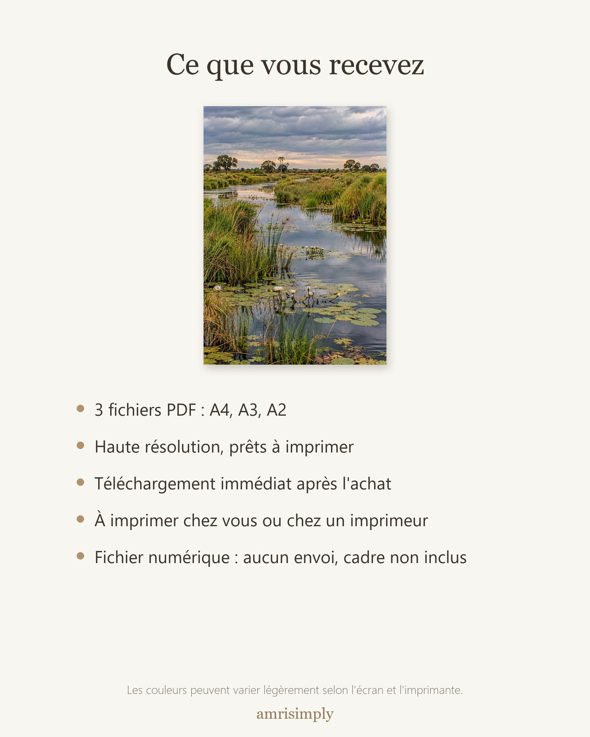 Poster Delta de l'Okavango à Imprimer - Affiche Nature - Décoration Murale - Téléchargement Numérique
