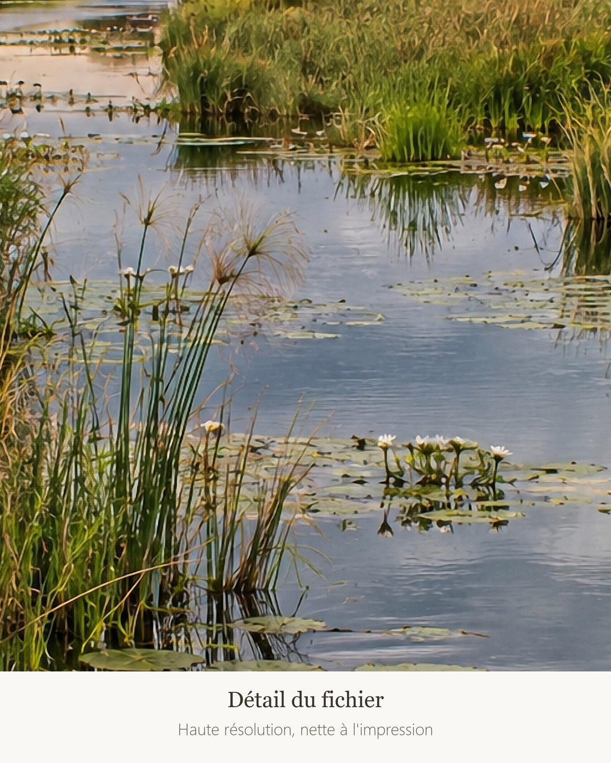 Poster Delta de l'Okavango à Imprimer - Affiche Nature - Décoration Murale - Téléchargement Numérique