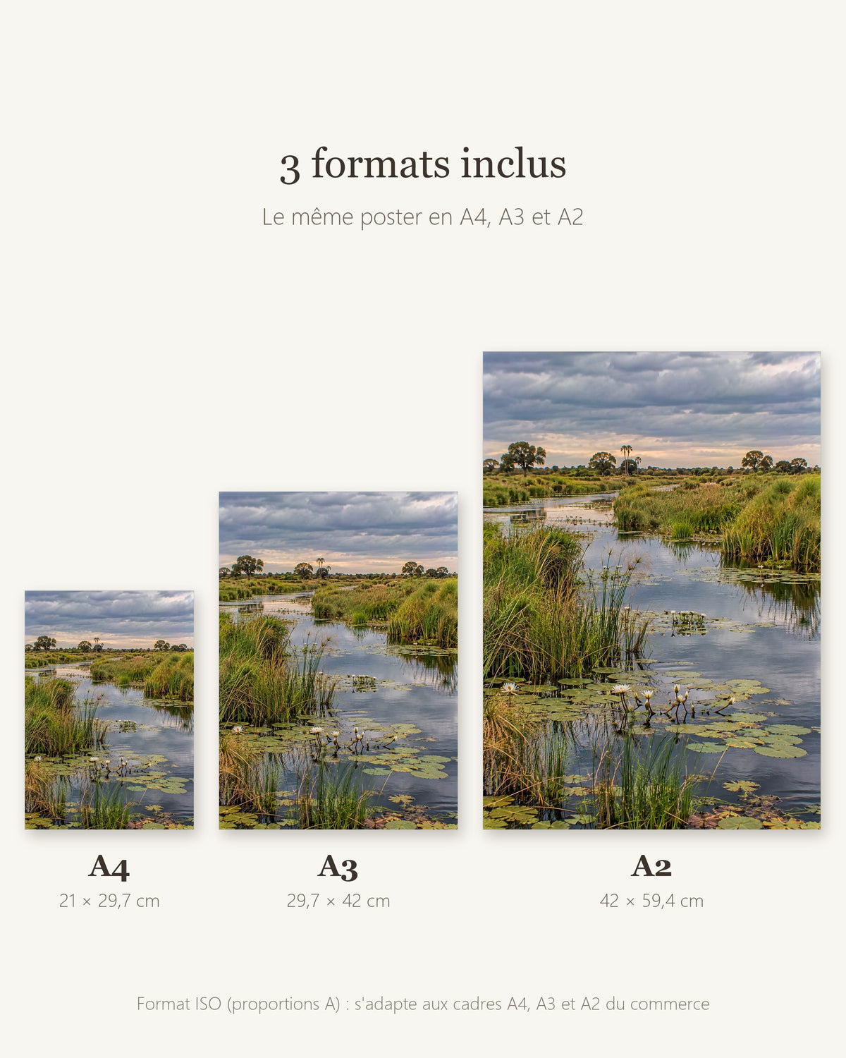 Poster Delta de l'Okavango à Imprimer - Affiche Nature - Décoration Murale - Téléchargement Numérique