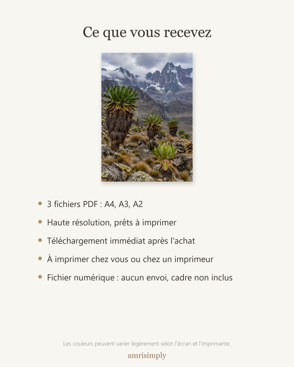 Poster Mont Kenya à Imprimer - Affiche Nature - Décoration Murale - Téléchargement Numérique