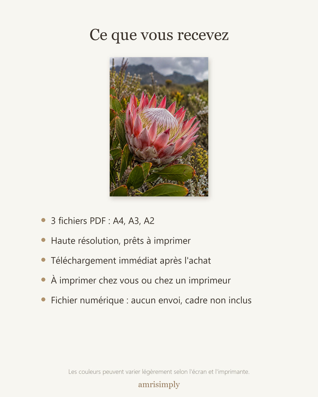 Poster Protée du fynbos à Imprimer - Affiche Nature - Décoration Murale - Téléchargement Numérique