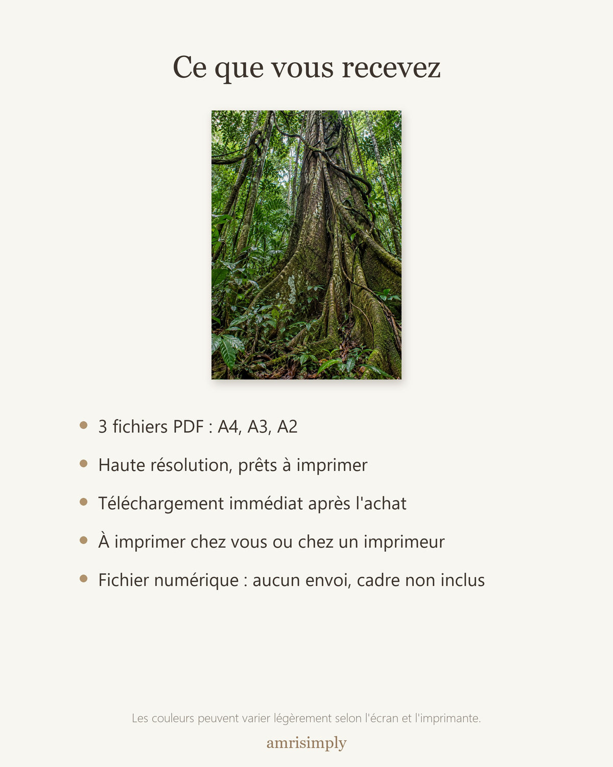 Poster Forêt équatoriale à Imprimer - Affiche Nature - Décoration Murale - Téléchargement Numérique