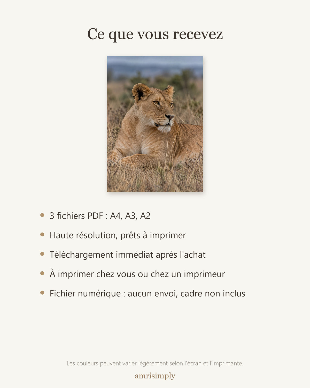 Poster Lionne couchée à Imprimer - Affiche Animaux Sauvages - Décoration Murale - Téléchargement Numérique