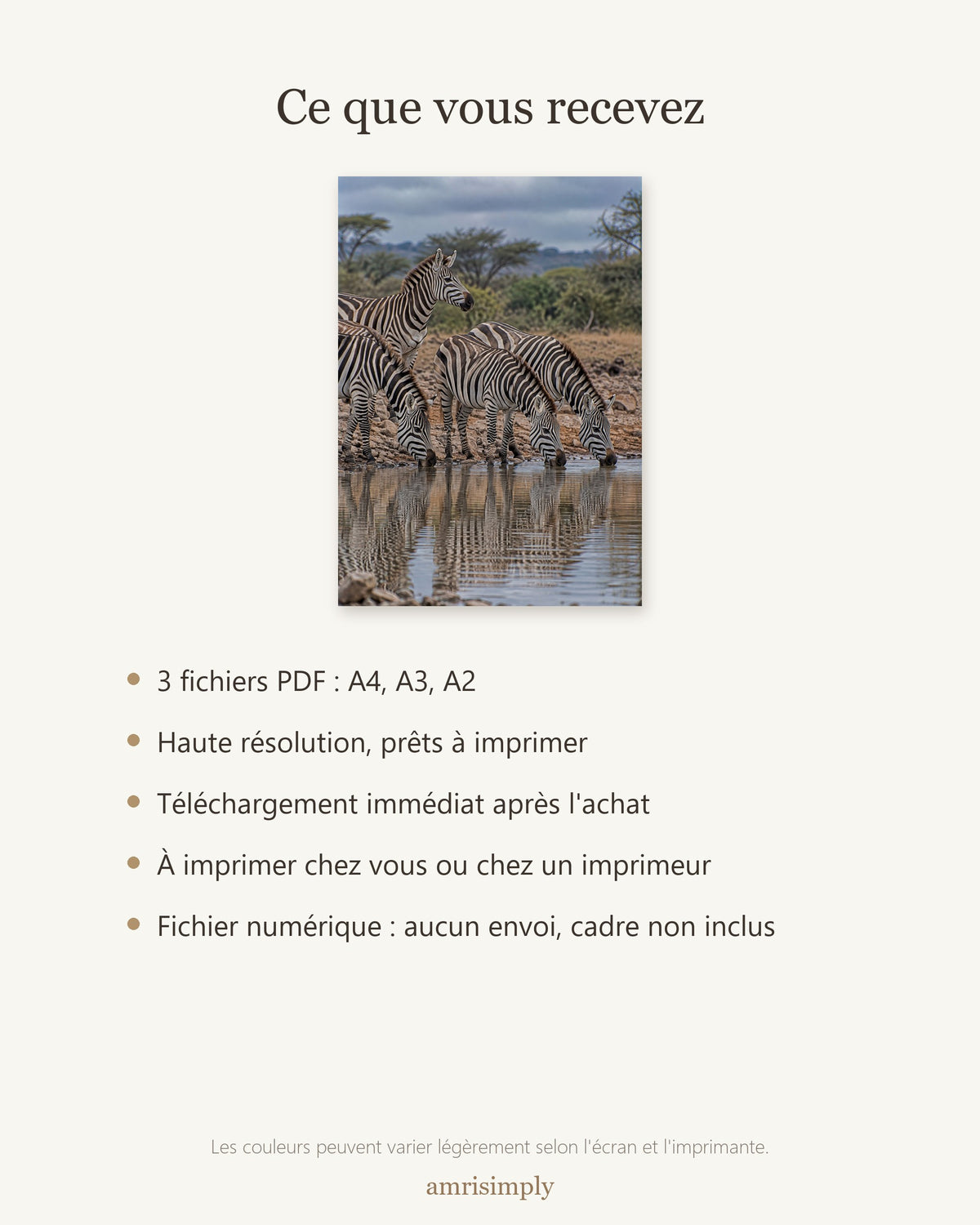 Poster Zèbres au point d'eau à Imprimer - Affiche Animaux Sauvages - Décoration Murale - Téléchargement Numérique