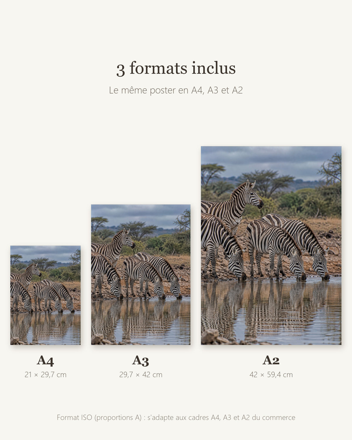 Poster Zèbres au point d'eau à Imprimer - Affiche Animaux Sauvages - Décoration Murale - Téléchargement Numérique