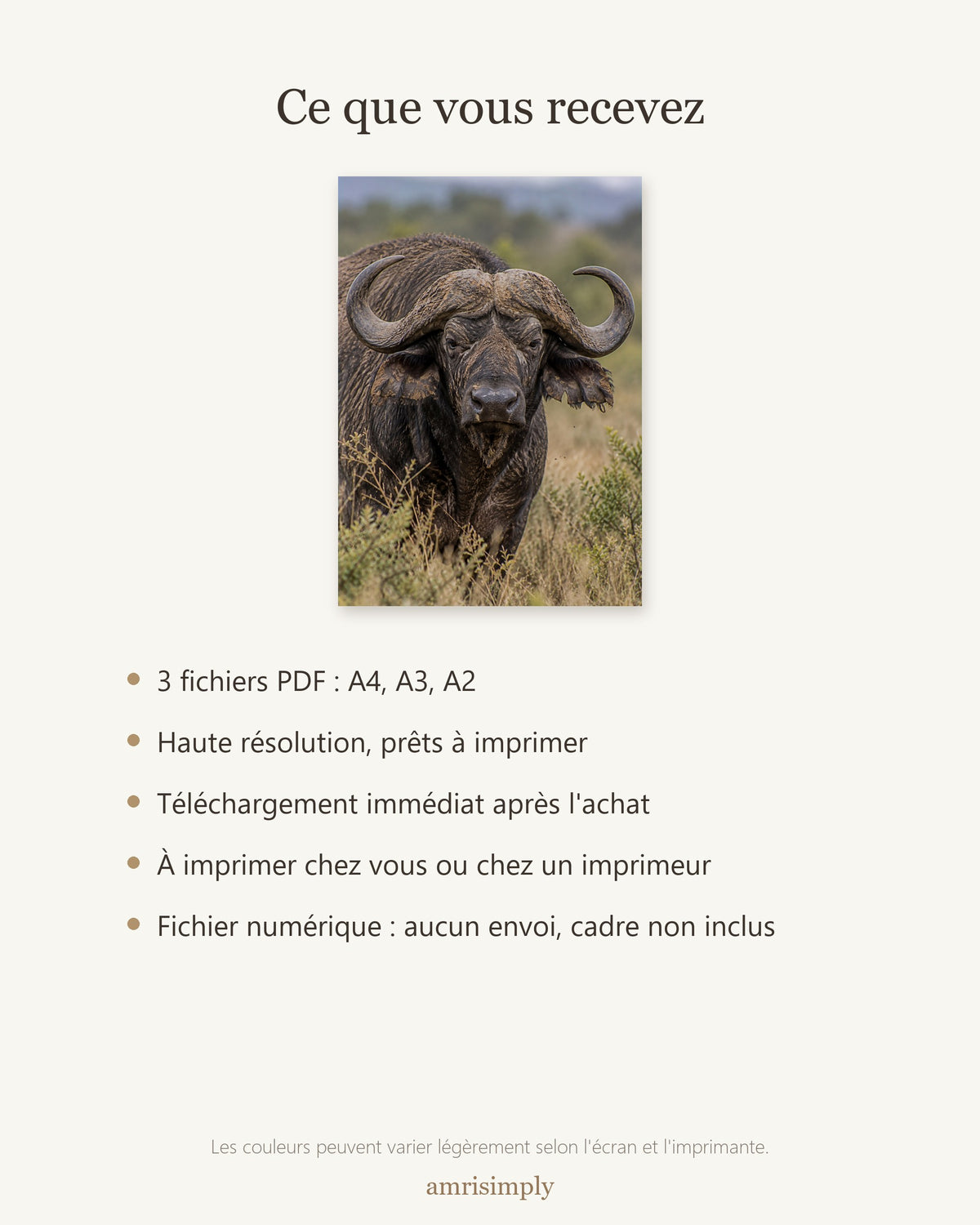 Poster Buffle du Cap à Imprimer - Affiche Animaux Sauvages - Décoration Murale - Téléchargement Numérique
