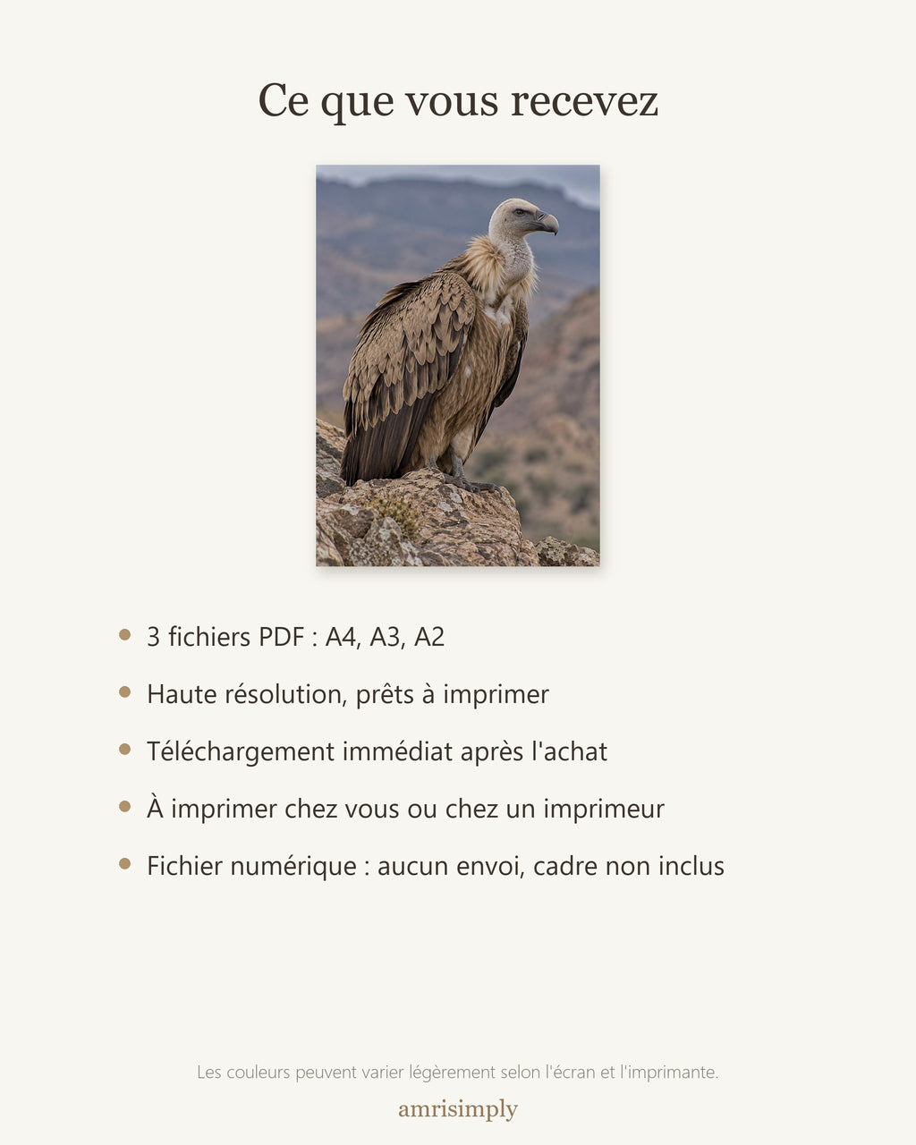 Poster Vautour sur rocher à Imprimer - Affiche Animaux Sauvages - Décoration Murale - Téléchargement Numérique