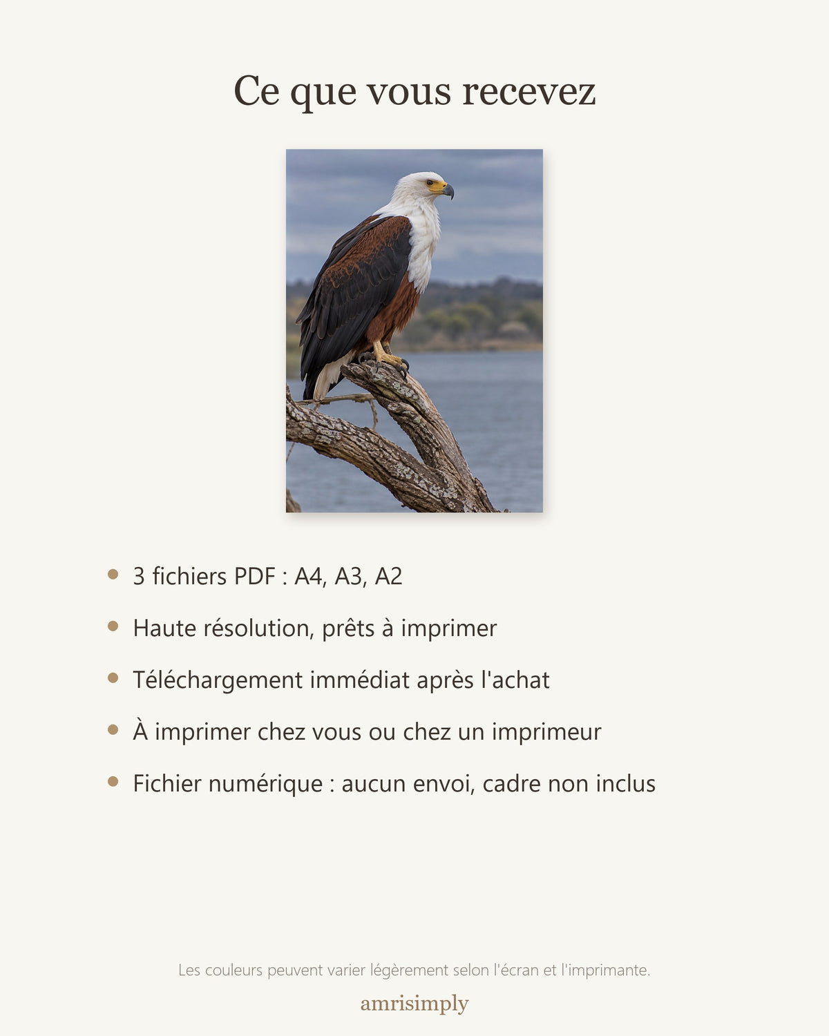 Poster Aigle pêcheur d'Afrique à Imprimer - Affiche Animaux Sauvages - Décoration Murale - Téléchargement Numérique