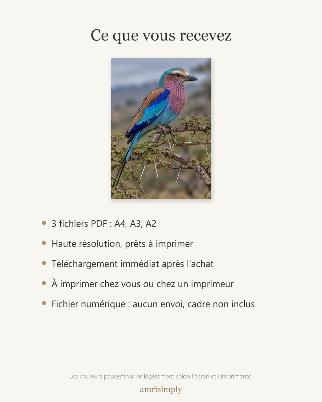 Poster Rollier à poitrine lilas à Imprimer - Affiche Animaux Sauvages - Décoration Murale - Téléchargement Numérique