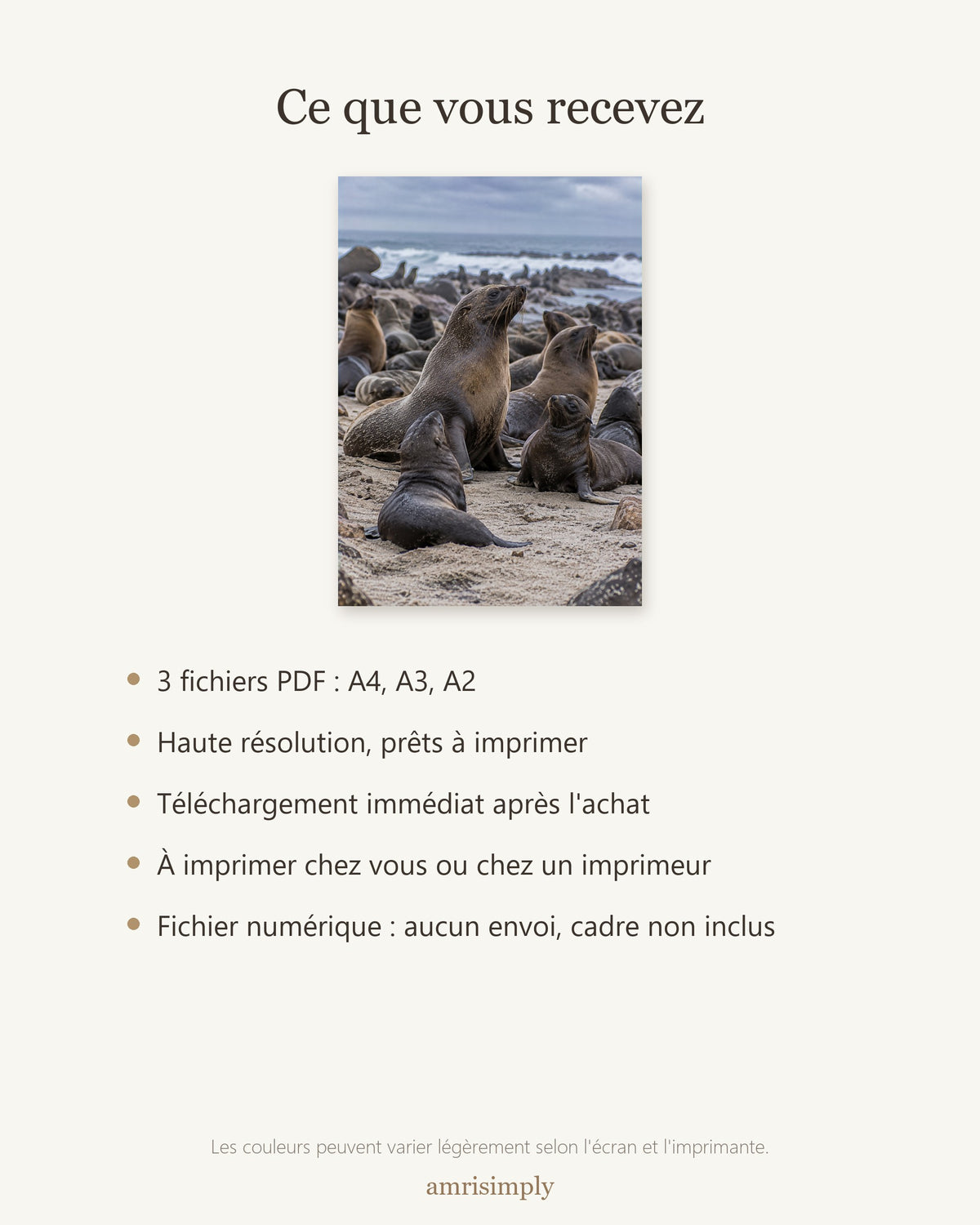 Poster Otaries du Cap à Imprimer - Affiche Animaux Sauvages - Décoration Murale - Téléchargement Numérique