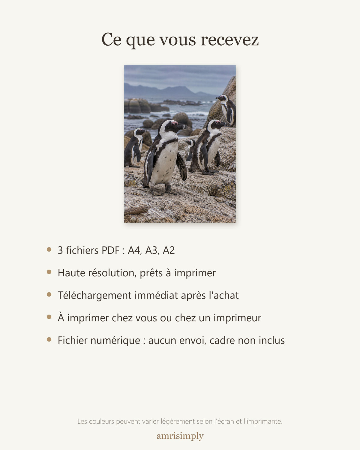 Poster Manchots du Cap à Imprimer - Affiche Animaux Sauvages - Décoration Murale - Téléchargement Numérique