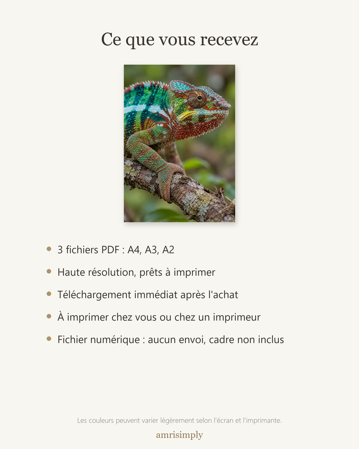 Poster Caméléon panthère à Imprimer - Affiche Animaux Sauvages - Décoration Murale - Téléchargement Numérique