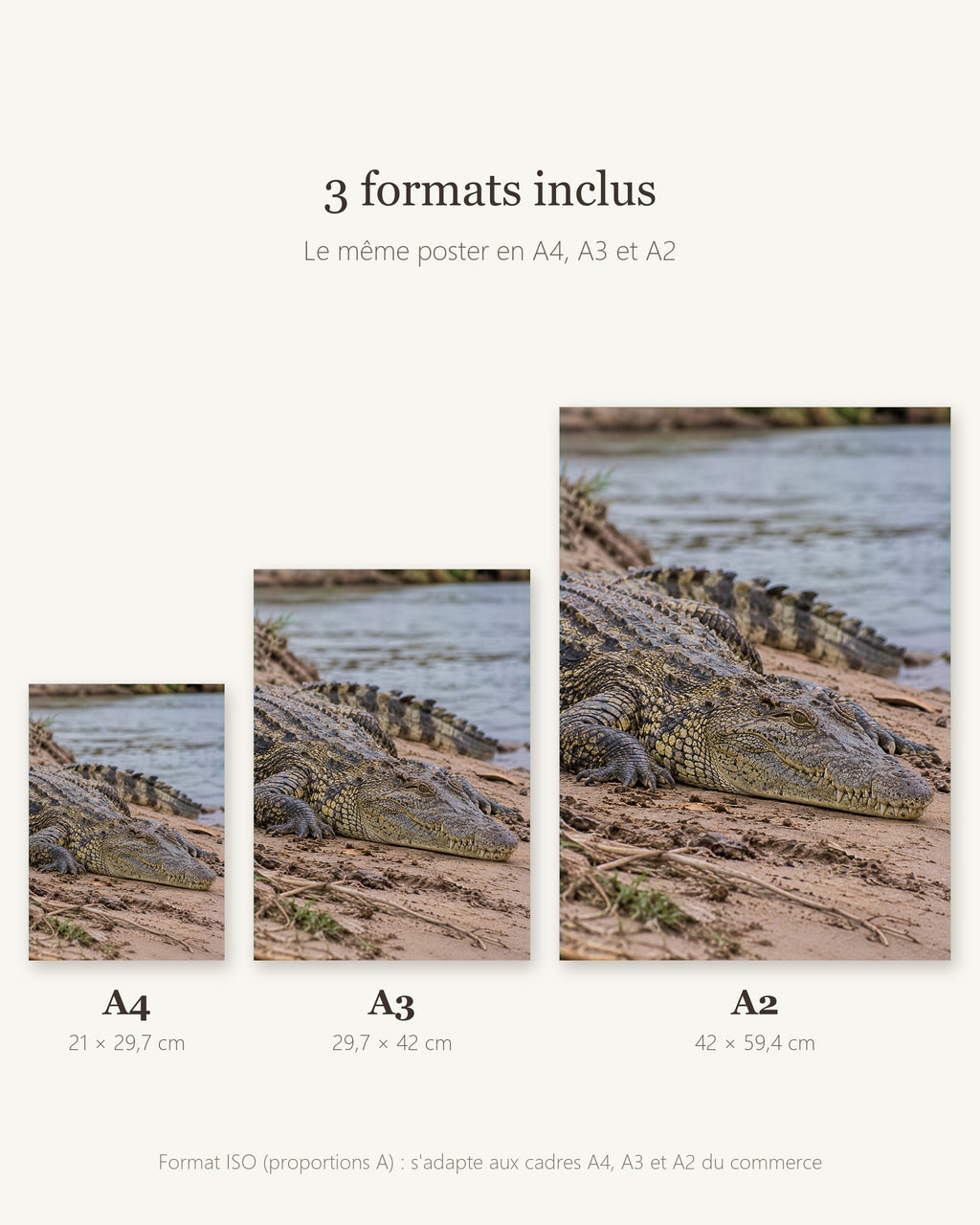 Poster Crocodile du Nil à Imprimer - Affiche Animaux Sauvages - Décoration Murale - Téléchargement Numérique