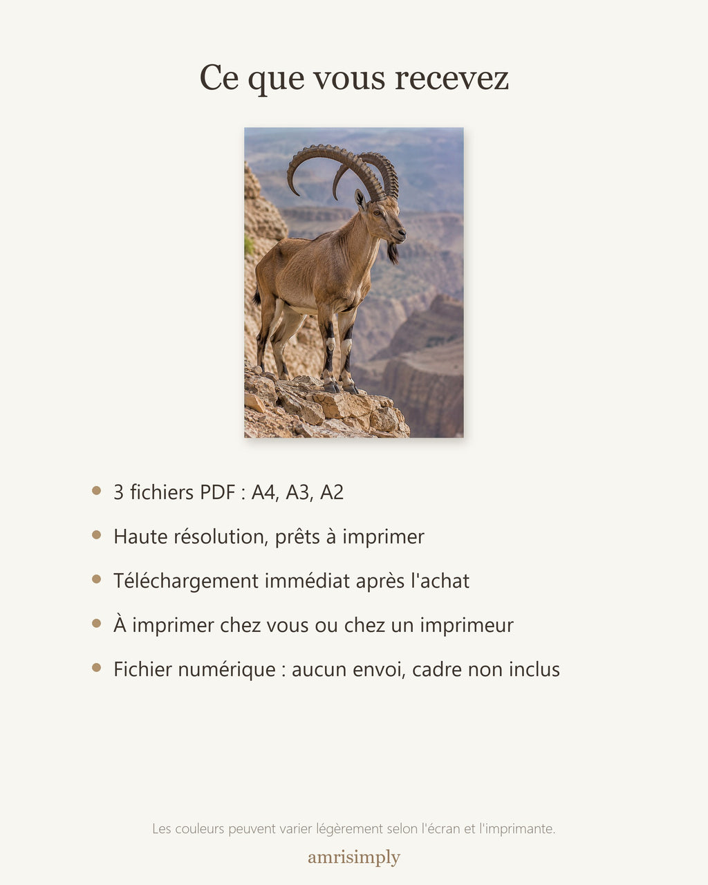 Poster Bouquetin de Nubie à Imprimer - Affiche Animaux Sauvages - Décoration Murale - Téléchargement Numérique