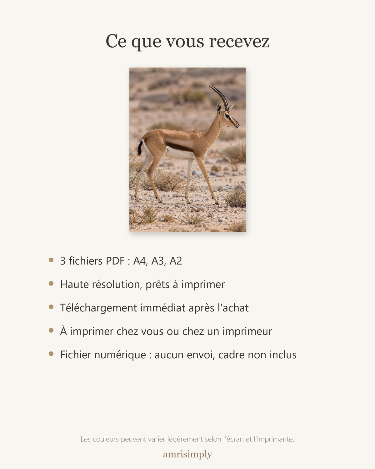 Poster Gazelle dorcas à Imprimer - Affiche Animaux Sauvages - Décoration Murale - Téléchargement Numérique