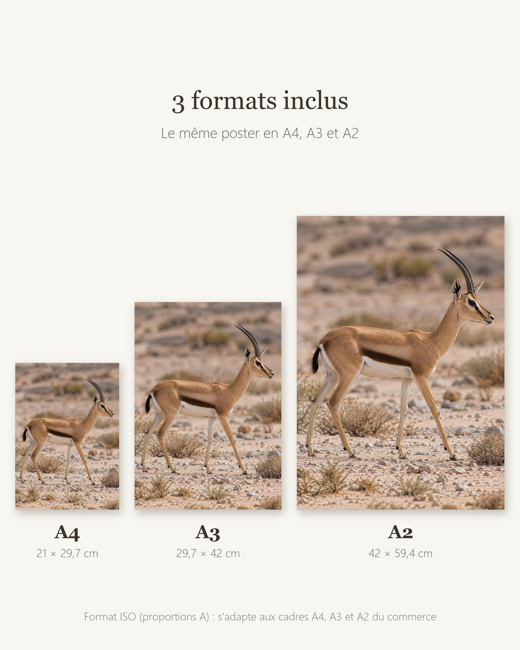 Poster Gazelle dorcas à Imprimer - Affiche Animaux Sauvages - Décoration Murale - Téléchargement Numérique
