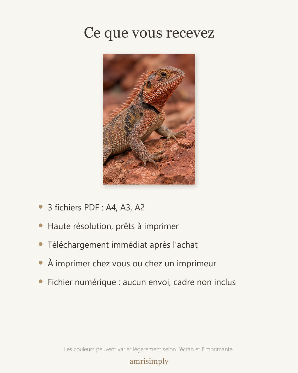 Poster Agame sur roche rouge à Imprimer - Affiche Animaux Sauvages - Décoration Murale - Téléchargement Numérique