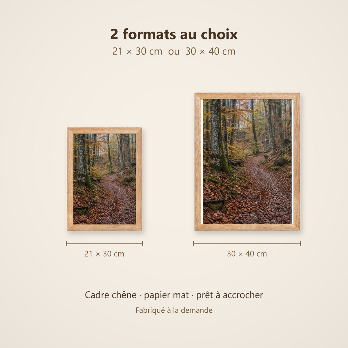 Poster Encadré Forêt de Hêtres en Automne - Affiche Nature Cadre Chêne - Décoration Murale