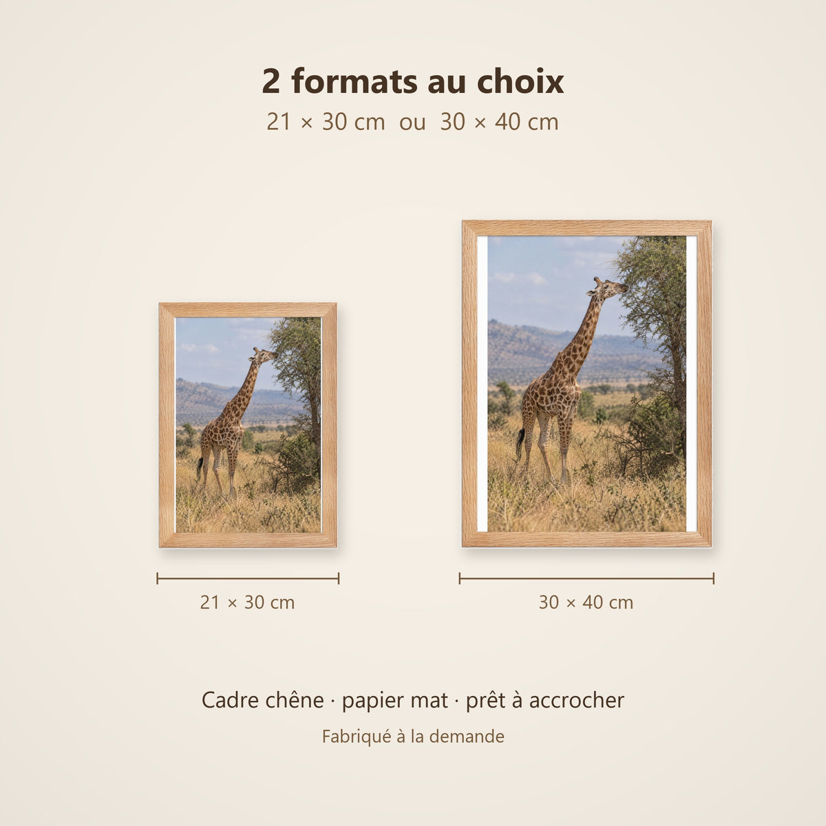 Poster Encadré Girafe - Affiche Nature Savane Cadre Chêne - Décoration Murale
