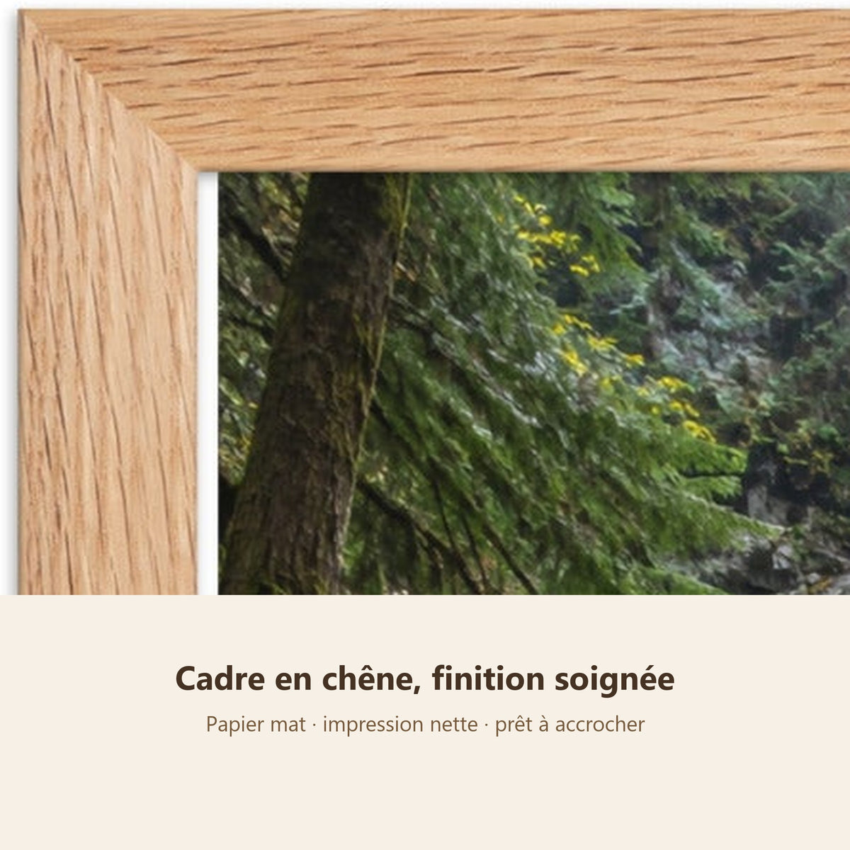Poster Encadré Cascade en Forêt - Affiche Nature Cadre Chêne - Décoration Murale