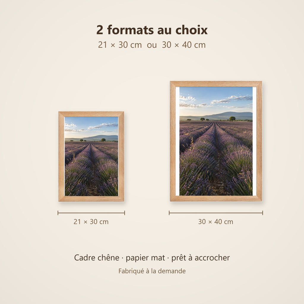 Poster Encadré Champ de Lavande - Affiche Nature Provence Cadre Chêne - Décoration Murale