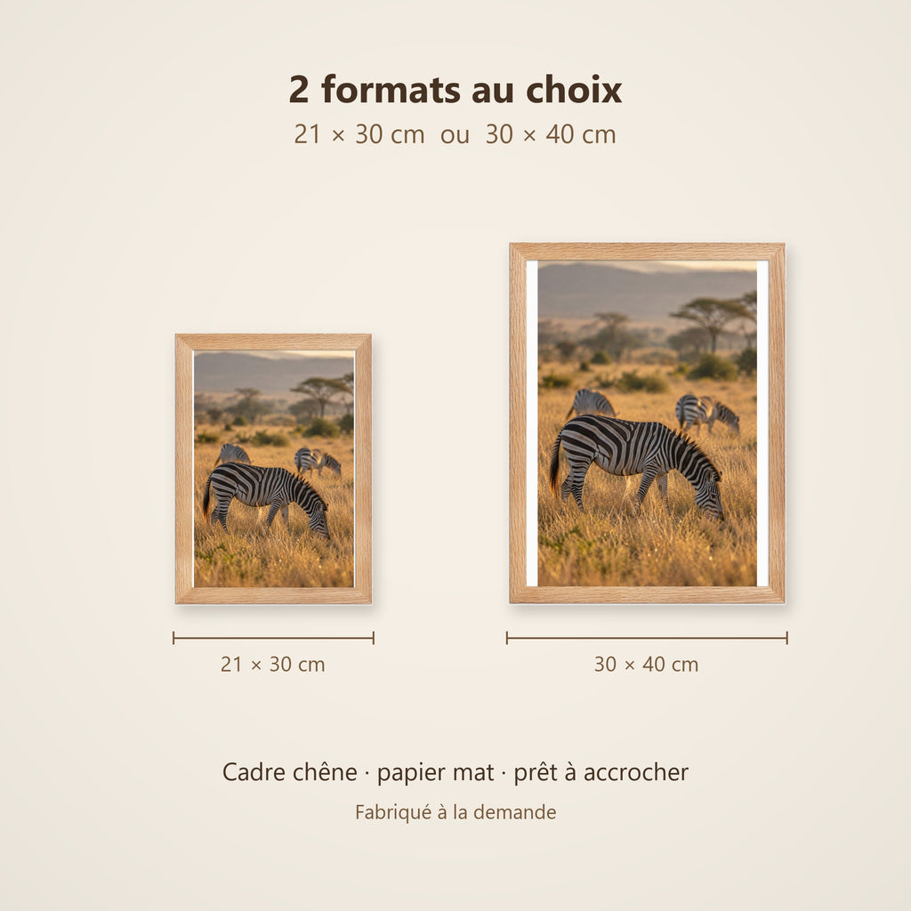Poster Encadré Zèbres - Affiche Nature Savane Africaine Cadre Chêne - Décoration Murale