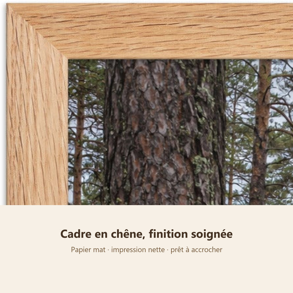 Poster Encadré Sentier en forêt de pins - Affiche Nature Cadre Chêne - Décoration Murale