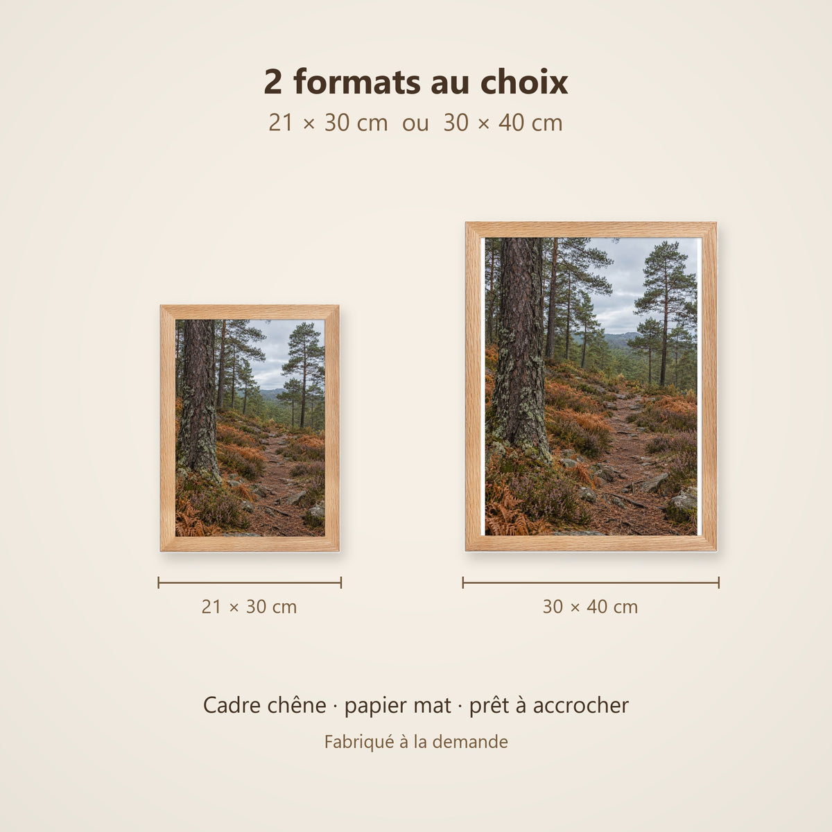 Poster Encadré Sentier en forêt de pins - Affiche Nature Cadre Chêne - Décoration Murale