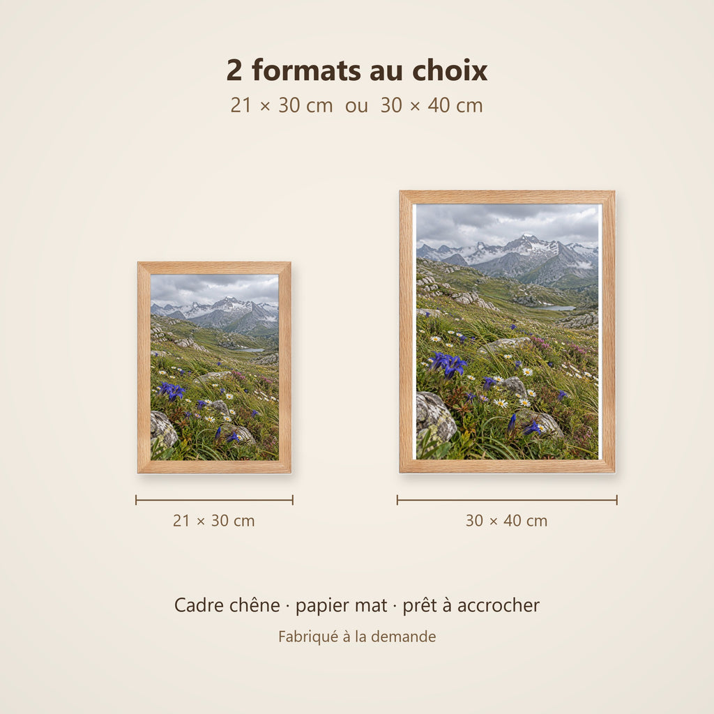 Poster Encadré Prairie alpine en fleurs - Affiche Nature Cadre Chêne - Décoration Murale